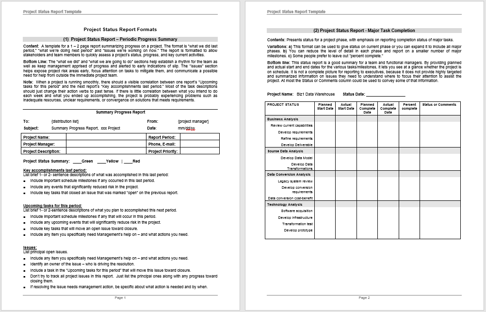 Project Progress Report Template